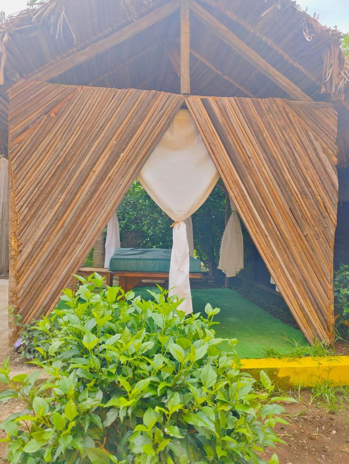 Bungalows Des Tropiques นูซีเบ ภายนอก รูปภาพ